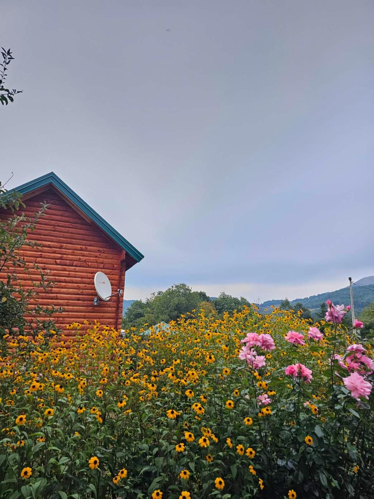 Konaci Oceva Zemlja Bungalovi Konaci Oceva Zemlja Vikendica Мойковац Екстер'єр фото