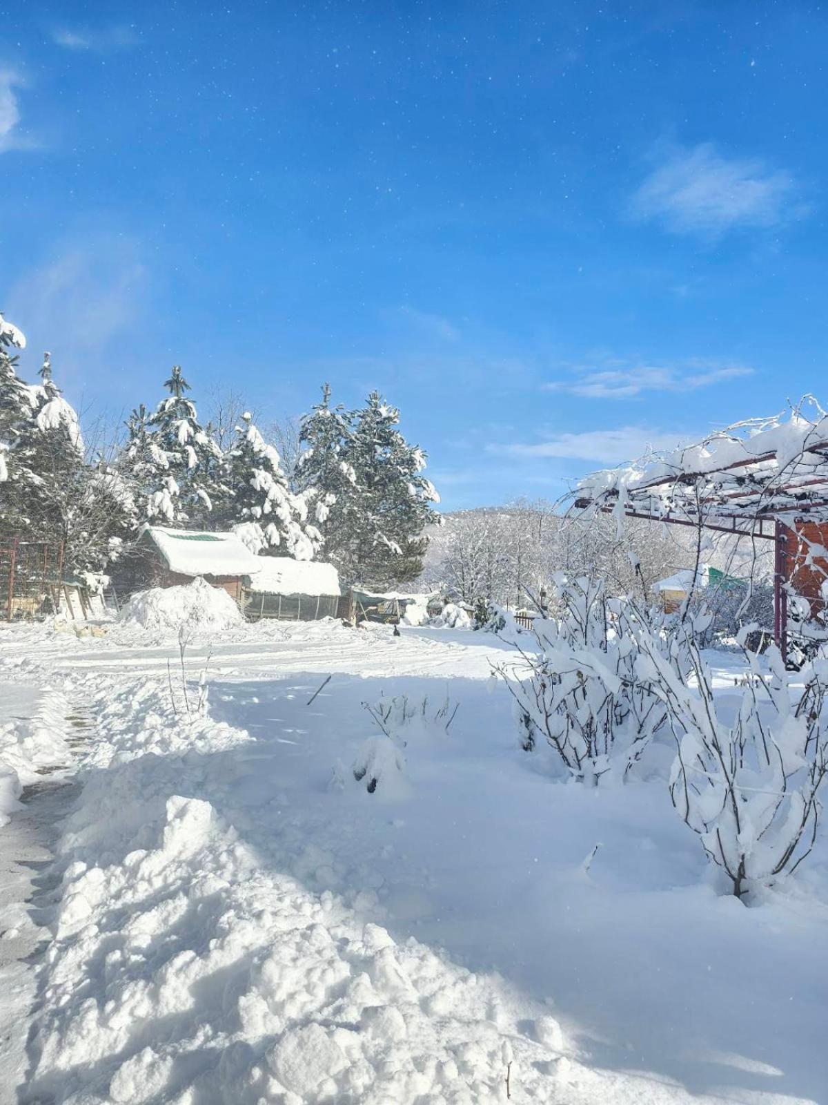 Konaci Oceva Zemlja Bungalovi Konaci Oceva Zemlja Vikendica Мойковац Екстер'єр фото
