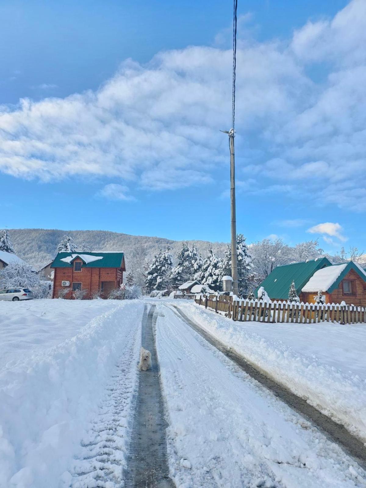 Konaci Oceva Zemlja Bungalovi Konaci Oceva Zemlja Vikendica Мойковац Екстер'єр фото