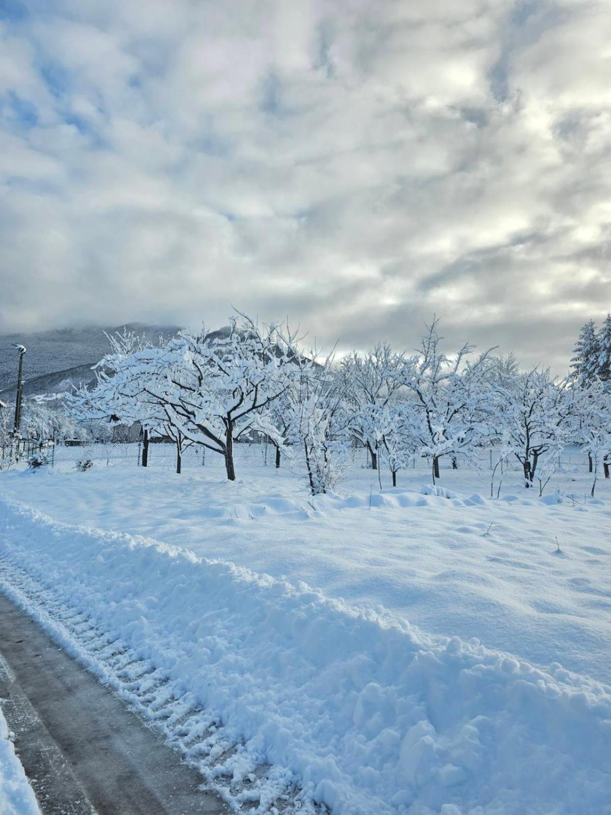 Konaci Oceva Zemlja Bungalovi Konaci Oceva Zemlja Vikendica Мойковац Екстер'єр фото
